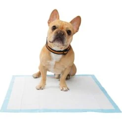 Frisco Premium Dog Training & Potty Pads & Frisco Premium Extra Large Dog Training & Potty Pads -Frisco 276223 PT4. AC SS1800 V1616193411