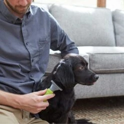 Frisco Soft Slicker Dog Brush, One Size & Frisco Deshedding Dog & Cat Brush 15 Frisco Soft Slicker Dog Brush, One Size & Frisco Deshedding Dog & Cat Brush -Frisco 276229 PT6. AC SS1800 V1616191886