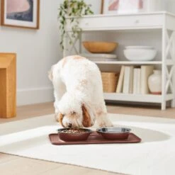 Frisco Silicone Stainless Steel Double Diner Dog & Cat Bowl, Brown 11 Frisco Silicone Stainless Steel Double Diner Dog & Cat Bowl, Brown -Frisco 277551 PT2. AC SS1800 V1630346531