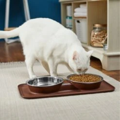 Frisco Silicone Stainless Steel Double Diner Dog & Cat Bowl, Brown 12 Frisco Silicone Stainless Steel Double Diner Dog & Cat Bowl, Brown -Frisco 277551 PT3. AC SS1800 V1630348104