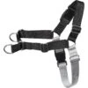 Frisco Basic No Pull Harness 1 Frisco Basic No Pull Harness -Frisco 277873 MAIN. AC SS1800 V1629758946