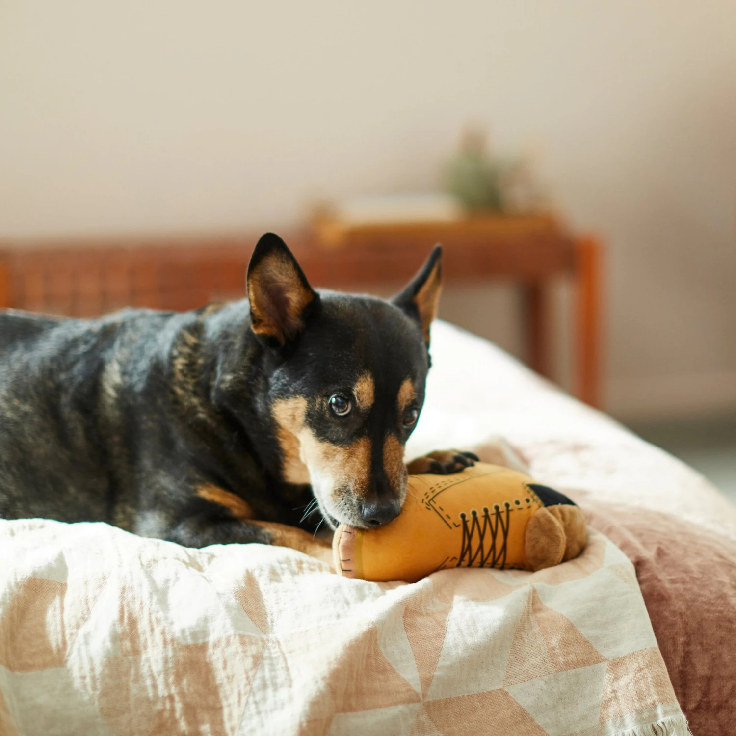 Frisco Fall Boot Plush Squeaky Dog Toy 5 Frisco Fall Boot Plush Squeaky Dog Toy - Image 3