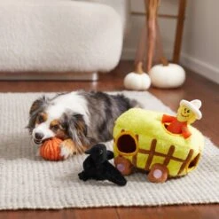 Frisco Fall Hay Wagon Hide & Seek Puzzle Plush Squeaky Dog Toy -Frisco 285631 PT3. AC SS1800 V1629724940