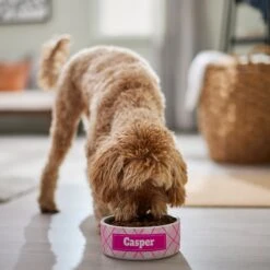 Frisco Personalized Plaid Ceramic Dog Bowl -Frisco 287013 PT4. AC SS1800 V1639518088