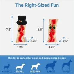 Frisco Holiday Bacon Plush Squeaky Dog Toy, 2 Count -Frisco 287143 PT1. AC SS1800 V1637787992