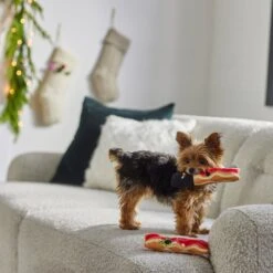 Frisco Holiday Bacon Plush Squeaky Dog Toy, 2 Count -Frisco 287143 PT3. AC SS1800 V1632774888