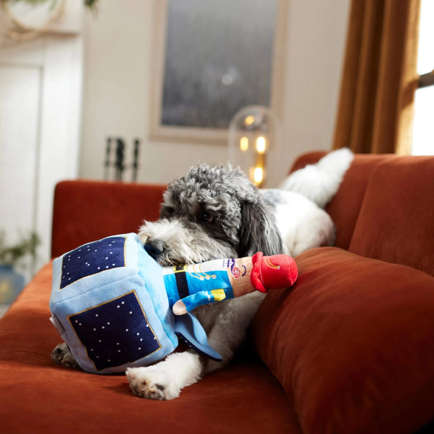 Frisco Nutcracker-in-a-Box Plush Squeaky Dog Toy 5 Frisco Nutcracker-in-a-Box Plush Squeaky Dog Toy - Image 3