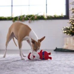 Frisco Holiday Santa & Snowman Reversible Plush Squeaky Dog Toy 11 Frisco Holiday Santa & Snowman Reversible Plush Squeaky Dog Toy -Frisco 287263 PT3. AC SS1800 V1632775712