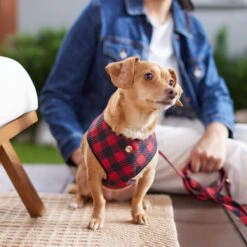 Frisco Fashion Over-The-Head Harness, Blue Plaid 11 Frisco Fashion Over-The-Head Harness, Blue Plaid -Frisco 287472 PT8. AC SS1800 V1632316407