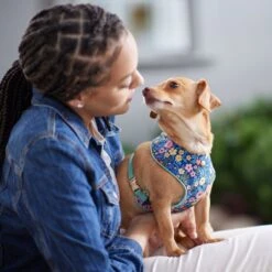 Frisco Fashion Over-The-Head Harness, Tropical Floral -Frisco 287476 PT8. AC SS1800 V1632316953