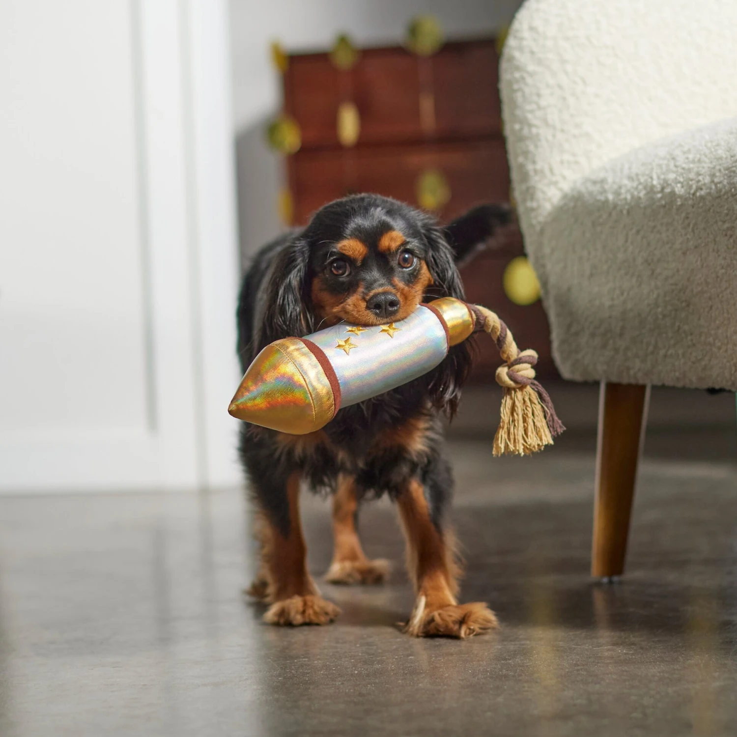 Frisco Firework Plush With Rope Squeaky Dog Toy 5 Frisco Firework Plush With Rope Squeaky Dog Toy - Image 3