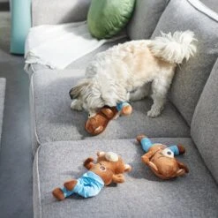 Frisco New Year, New Me Namaste Bear Plush Squeaky Dog Toy -Frisco 288905 PT3. AC SS1800 V1638291398