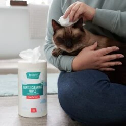 Frisco Gentle Cleaning Waterless Grooming Wipes For Puppies & Kittens, Green Tea Scent 13 Frisco Gentle Cleaning Waterless Grooming Wipes For Puppies & Kittens, Green Tea Scent -Frisco 291592 PT5. AC SS1800 V1627306905