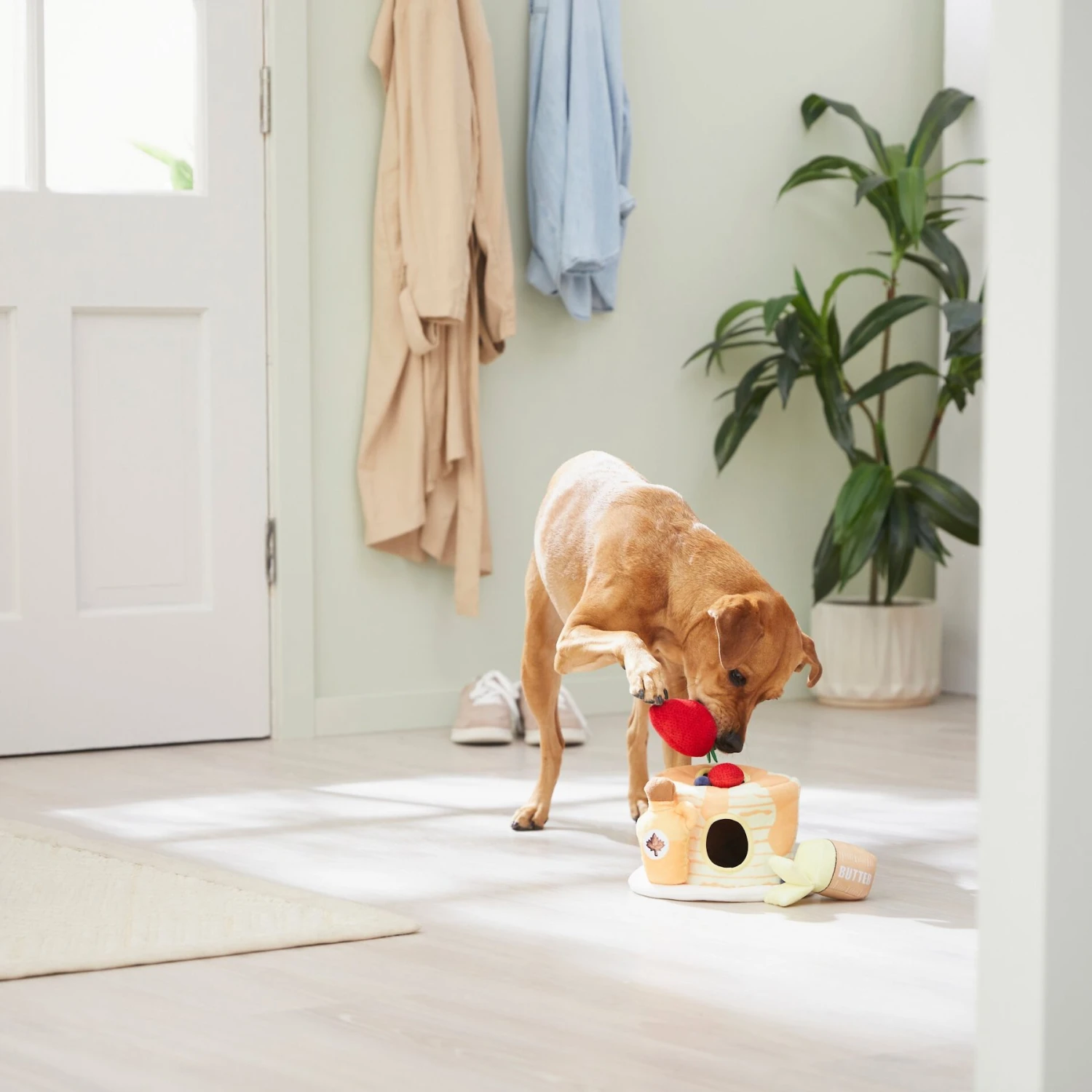 Frisco Brunch Pancake Hide & Seek Puzzle Plush Squeaky Dog Toy 6 Frisco Brunch Pancake Hide & Seek Puzzle Plush Squeaky Dog Toy - Image 4