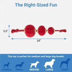 Frisco Lunar New Year Lantern Plush With Rope Squeaky Dog Toy -Frisco 298885 PT1. AC SS1800 V1673964150