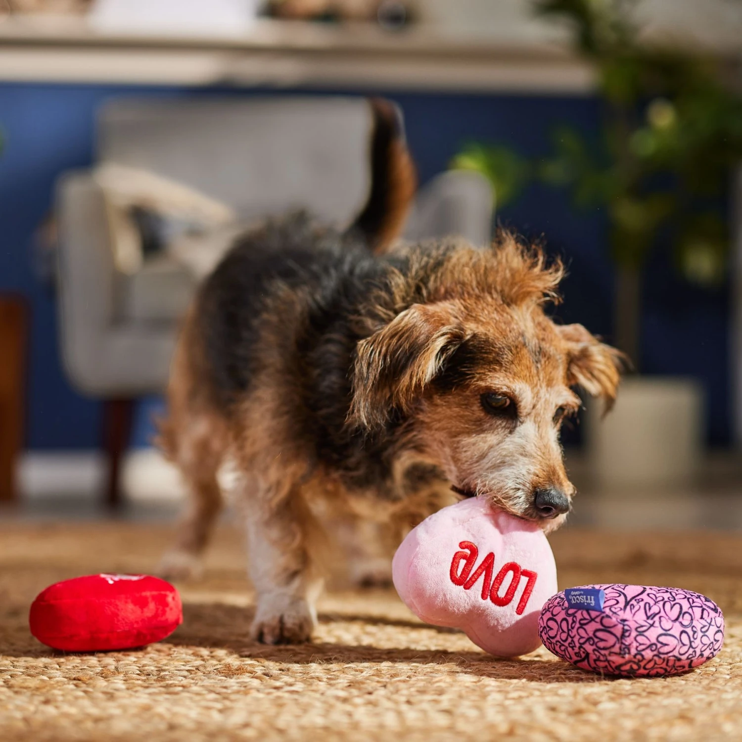 Frisco Valentine Hearts Plush Squeaky Dog Toy 5 Frisco Valentine Hearts Plush Squeaky Dog Toy - Image 3