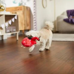 Frisco Valentine Anatomical Heart Plush Squeaky Dog Toy 8 Frisco Valentine Anatomical Heart Plush Squeaky Dog Toy -Frisco 298933 PT3. AC SS1800 V1638987632