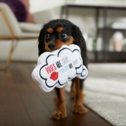 Frisco Valentine Be My Valentine Thought Bubble Reversible Plush Squeaky Dog Toy -Frisco 298947 PT3. AC SS1800 V1638987445