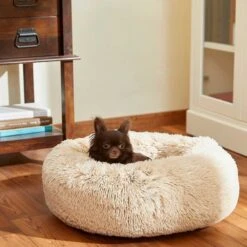 Frisco Eyelash Cat & Dog Bolster Bed & Frisco Eyelash Cat & Dog Bolster Bed -Frisco 302450 PT4. AC SS1800 V1623046356