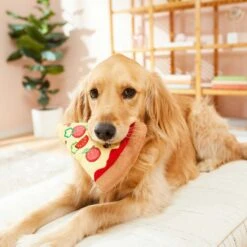 Frisco Pizza Slice Plush Squeaky Dog Toy & Frisco Taco Plush Squeaky Dog Toy 12 Frisco Pizza Slice Plush Squeaky Dog Toy & Frisco Taco Plush Squeaky Dog Toy -Frisco 302494 PT3. AC SS1800 V1623051762