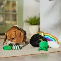 Frisco St. Patrick's Pot Of Gold Hide & Seek Puzzle Plush Squeaky Dog Toy 12 Frisco St. Patrick's Pot Of Gold Hide & Seek Puzzle Plush Squeaky Dog Toy -Frisco 303130 PT4. AC SS1800 V1700163009