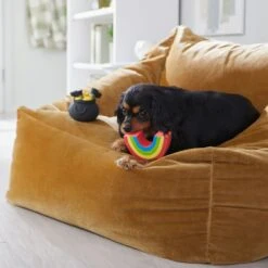 Frisco St. Patrick's Rainbow And Pot Of Gold Latex Squeaky Dog Toy -Frisco 303136 PT4. AC SS1800 V1702500566