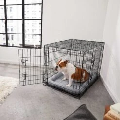 Frisco Fold & Carry Double Door Collapsible Wire Dog Crate & Mat Kit & Frisco Stainless Steel Bowl -Frisco 303428 PT4. AC SS1800 V1623089543