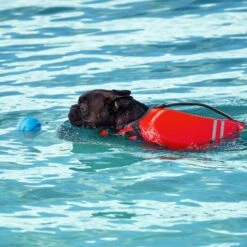 Frisco Ripstop Dog Life Jacket & Frisco Foam Rubber Floating Fetch Ball No Squeak Dog Toy -Frisco 303546 PT7. AC SS1800 V1623068257