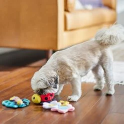 Frisco Spring Pack Plush Squeaky Dog Toy -Frisco 304950 PT4. AC SS1800 V1703184715