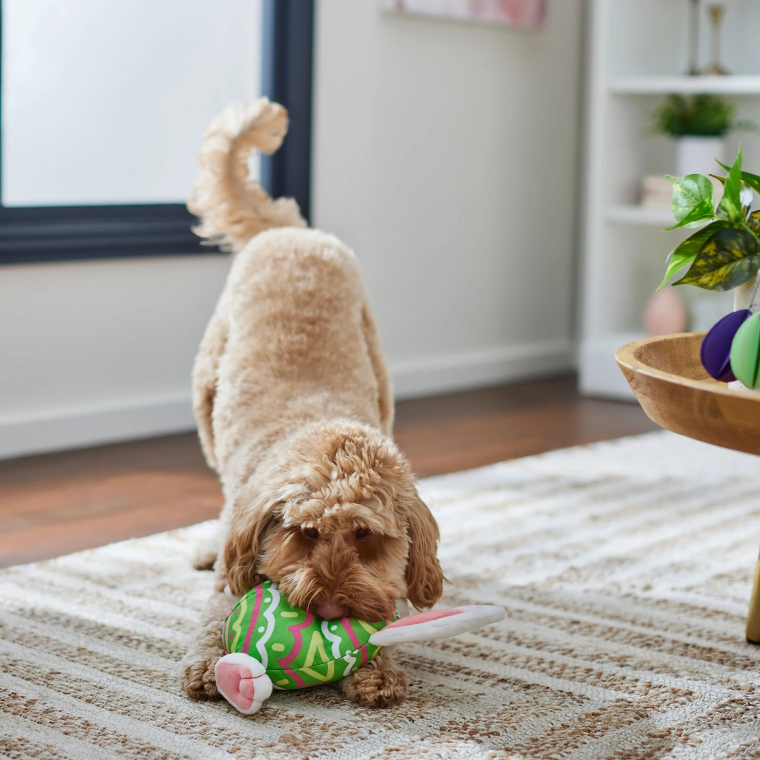 Frisco Easter Bunny Egg Plush Squeaky Dog Toy 6 Frisco Easter Bunny Egg Plush Squeaky Dog Toy - Image 4