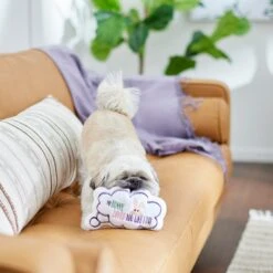 Frisco Easter Message Bubble Plush Squeaky Dog Toy 9 Frisco Easter Message Bubble Plush Squeaky Dog Toy -Frisco 304980 PT3. AC SS1800 V1642441439