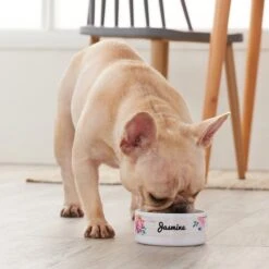Frisco Personalized Rustic Ceramic Dog & Cat Bowl -Frisco 306763 PT4. AC SS1800 V1639518086