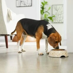 Frisco Circle Design Stainless Steel Dog & Cat Bowl -Frisco 311969 PT2. AC SS1800 V1642542858