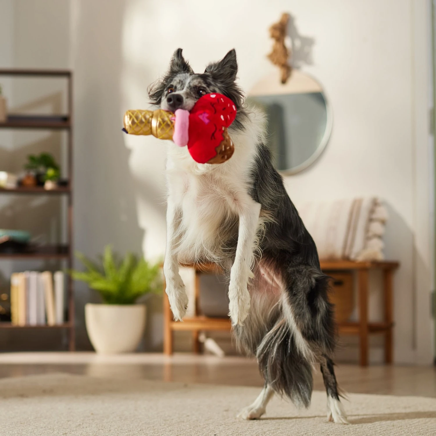 Frisco Valentine Ice Cream Plush Squeaky Dog Toy 5 Frisco Valentine Ice Cream Plush Squeaky Dog Toy - Image 3