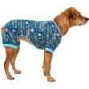Frisco Celebration Dog & Cat PJs 1 Frisco Celebration Dog & Cat PJs -Frisco 315105 MAIN. AC SS1800 V1646442148