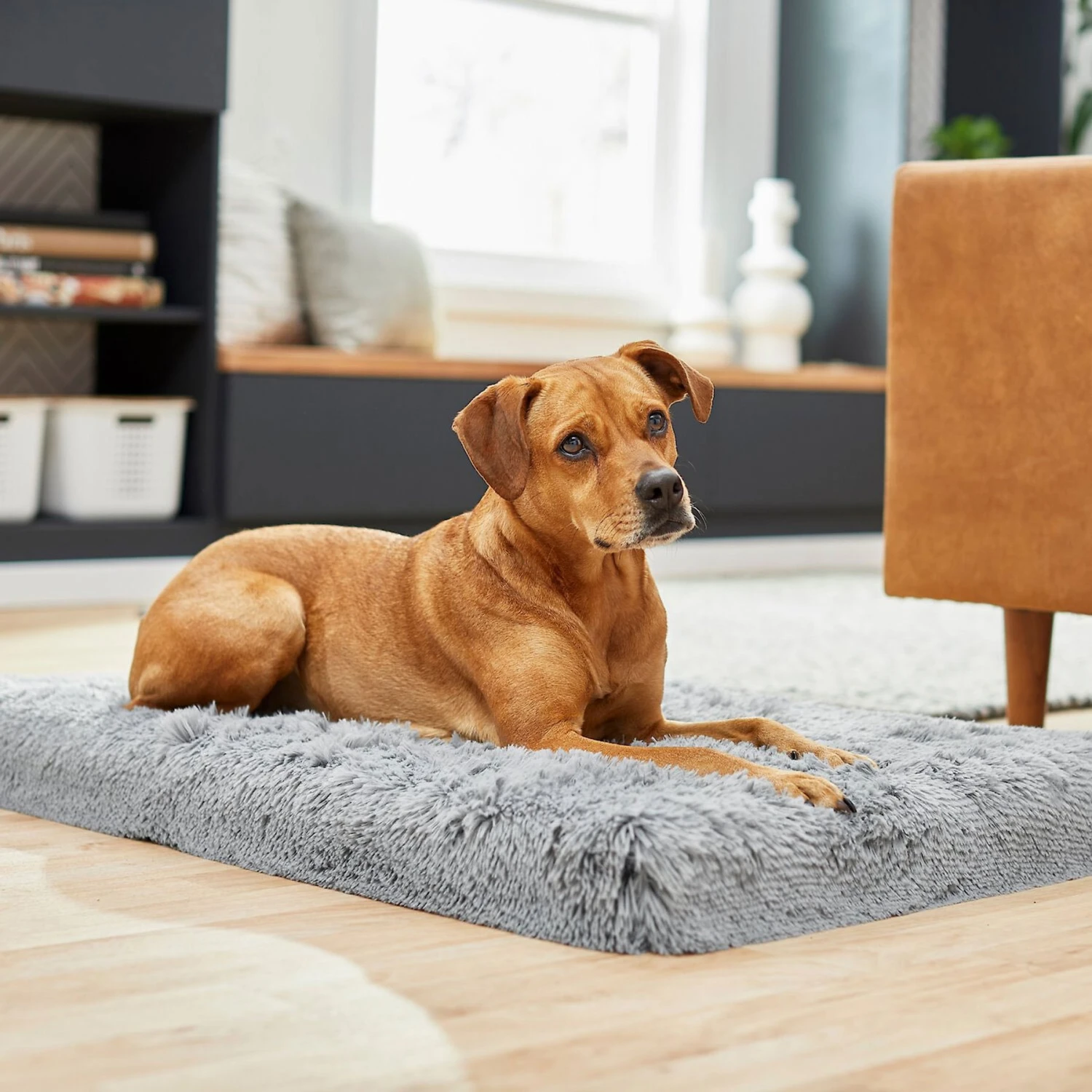 Frisco Eyelash Orthopedic Dog Crate Mat & Frisco Fold & Carry Single Door Collapsible Wire Dog Crate 7 Frisco Eyelash Orthopedic Dog Crate Mat & Frisco Fold & Carry Single Door Collapsible Wire Dog Crate - Image 5