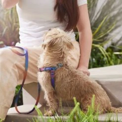 Frisco Purple Ombre Style Dog Harness -Frisco 324526 PT4. AC SS1800 V1642518470