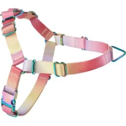 Frisco Pink Ombre Style Dog Harness