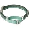 Frisco Outdoor Running Martingale Dog Collar 2 Frisco Outdoor Running Martingale Dog Collar -Frisco 331413 MAIN. AC SS1800 V1659977325