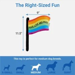 Frisco Pride Flag Flat Squeaky Dog Toy -Frisco 331640 PT1. AC SS1800 V1649785014