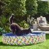 Frisco Outdoor Dog Swimming Pool, Hawaiian Print -Frisco 331652 MAIN. AC SS1800 V1646179333