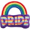 Frisco Pride Rainbow Plush With Rope Squeaky Dog Toy 1 Frisco Pride Rainbow Plush With Rope Squeaky Dog Toy -Frisco 331653 MAIN. AC SS1800 V1649086609
