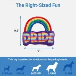 Frisco Pride Rainbow Plush With Rope Squeaky Dog Toy -Frisco 331653 PT1. AC SS1800 V1649784989