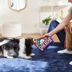 Frisco Pride Rainbow Plush With Rope Squeaky Dog Toy -Frisco 331653 PT3. AC SS1800 V1647356026