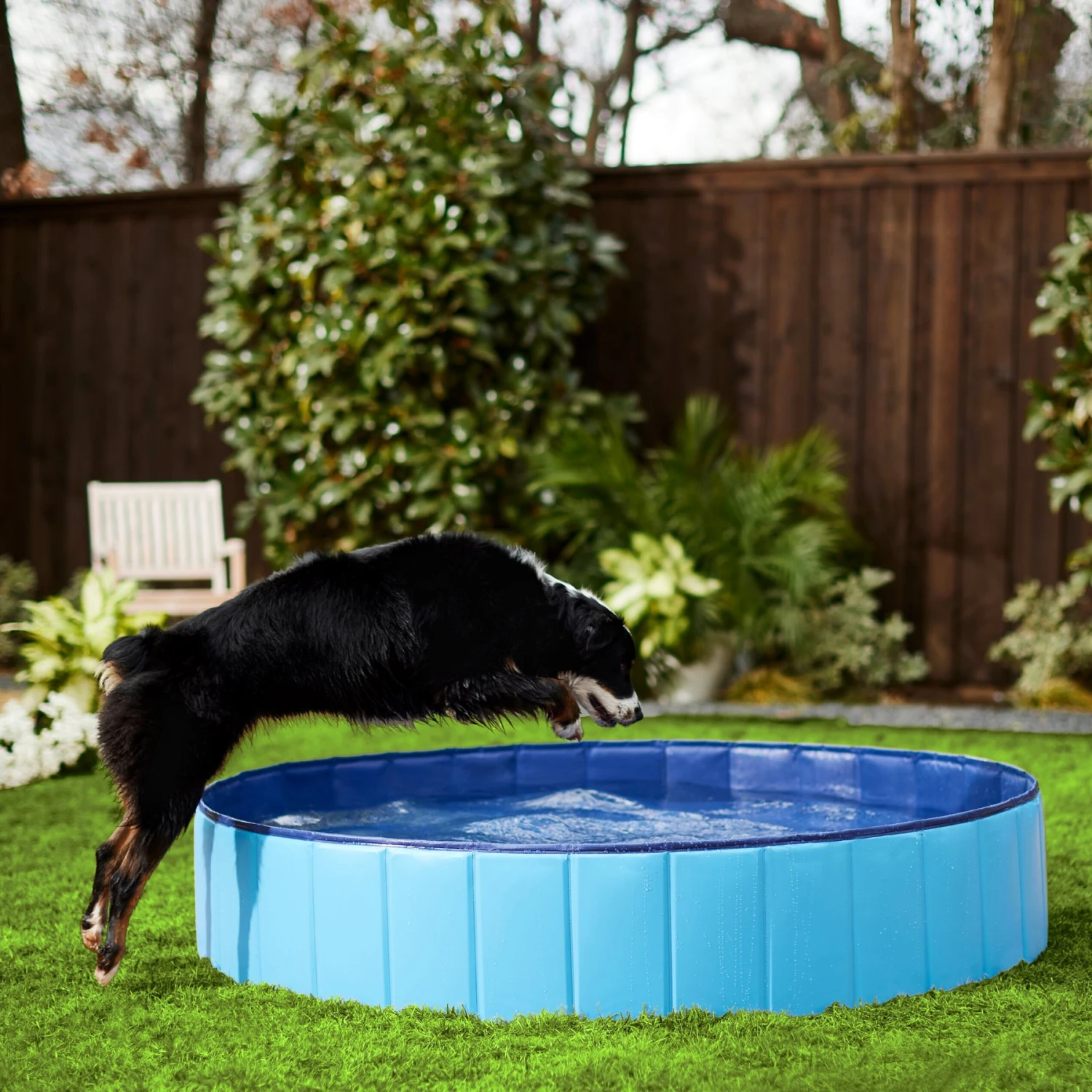 Frisco Outdoor Dog Swimming Pool 3 Frisco Outdoor Dog Swimming Pool