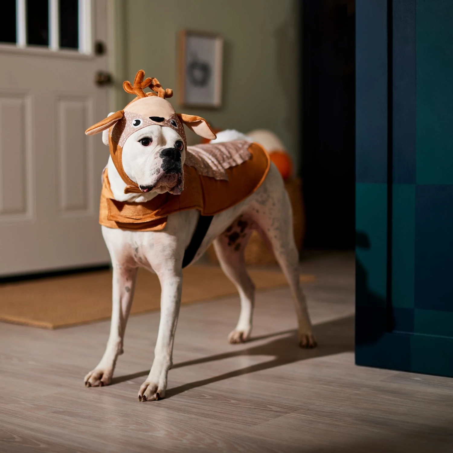 Frisco Deer Dog & Cat Costume 8 Frisco Deer Dog & Cat Costume - Image 6