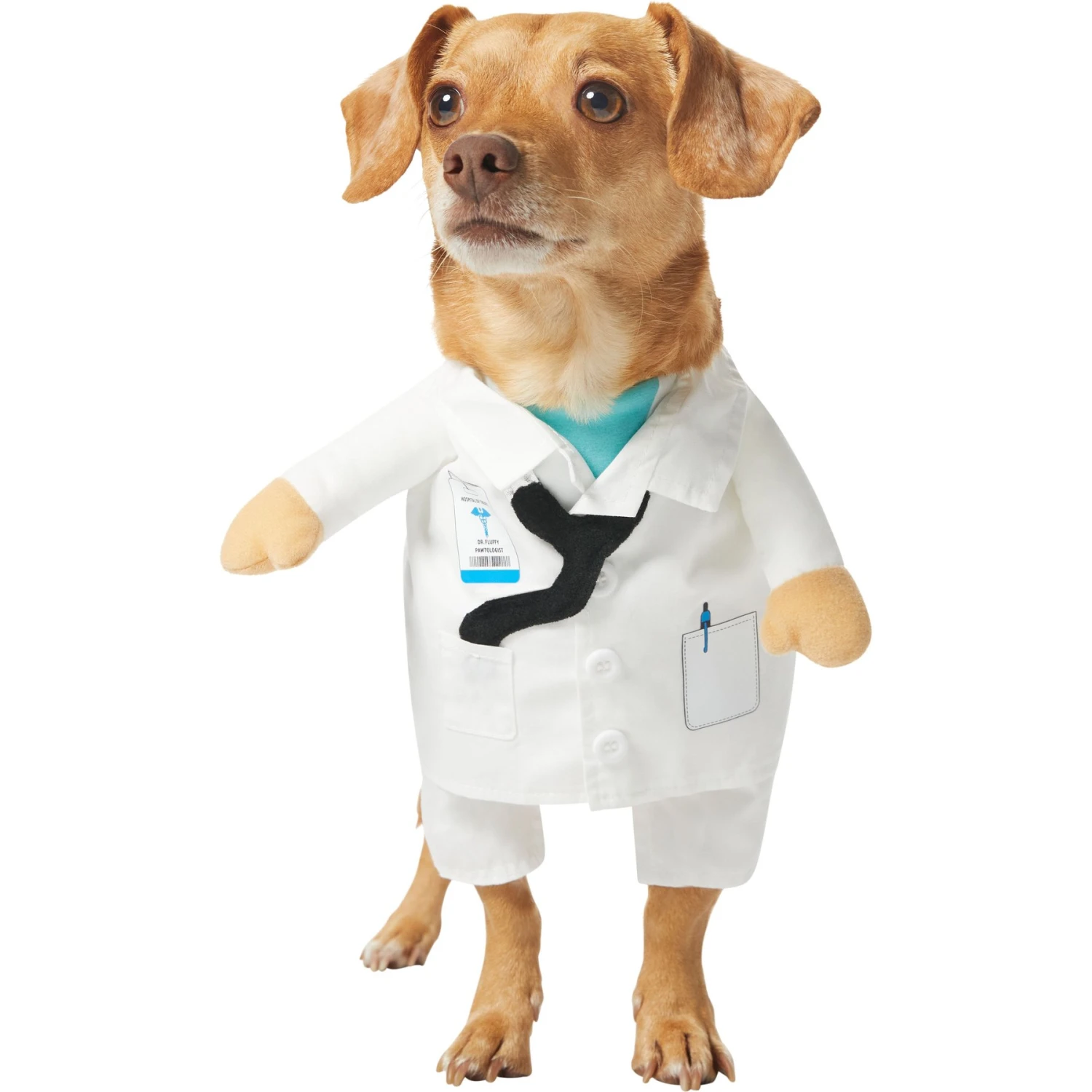 Frisco Front Walking Doctor Dog & Cat Costume 3 Frisco Front Walking Doctor Dog & Cat Costume