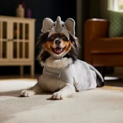 Frisco Elephant Dog & Cat Costume 14 Frisco Elephant Dog & Cat Costume -Frisco 334915 PT7. AC SS1800 V1657718739