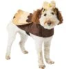 Frisco Owl Dog & Cat Costume 2 Frisco Owl Dog & Cat Costume -Frisco 335055 MAIN. AC SS1800 V1658717776