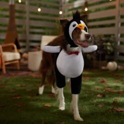 Frisco Front Walking Penguin Dog & Cat Costume -Frisco 335062 PT7. AC SS1800 V1657718971